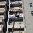 정직한 FIT 이미지