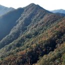 기후변화 속에도 붉은 산하가 펼쳐진다.ㅡ산림청 올가을 수종별 단풍예측지도 발표 이미지