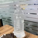 [부산 여행] 부산 초량 맛집 데이식스 성진 맛집 초량원조불백