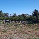 김앤김공인중개사사무소 이미지