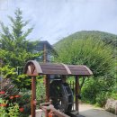 꽃피는 산골 이미지