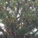 고창군공음보건지소 이미지