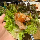 도야정 | 군산 고기 구워주는 수송동 맛집 숙성 삼겹살 전문점 도야정