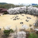 한국과학기술원 이미지