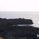 마라도민박 이미지