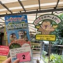 [7박 8일 오키나와 여행 3/13-3/20]이시가키섬④