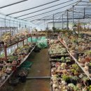 옥룡농장 이미지