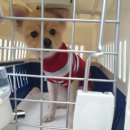 벨라켄넬 이미지