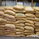 ㈜젤텍 티스토리