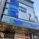 짐파시 | 스포주의 연극 프리마 파시 후기