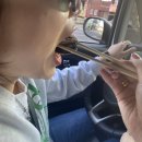 올레 김밥 이미지