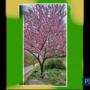 장현농장 이미지