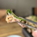 대덕로스 이미지