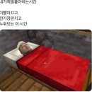 허밍버드