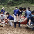 거북호텔 이미지