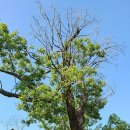 불태산진원성 한우전문점 이미지