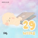 마더맘치킨&amp;피자 | [공지] 임신 29주차 | 육아용품 당근🥕, 베이비페어, 마더케이, 카시트 졸업🎓