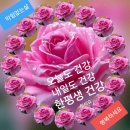 ★중요! 응급실에 관한 중요한 사실★ 이미지