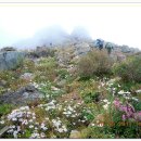 청학하늘정원 이미지