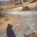 버스정류장 07-133 Daum카페