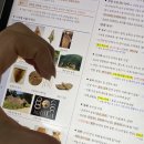 원정2경로당 | 2404 비 안오는 날 쥐고있는 우산