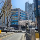 돌고개역 2번출구 이미지