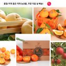 신선함 이미지