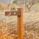 종자산 등산로 이미지