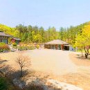 청풍김씨 열녀비 이미지