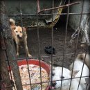 다소농장 이미지