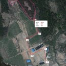 김흥근 선생 묘 이미지