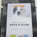 포지티브 보울(Pawsitive Bowl) 이미지