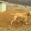 근성농장 이미지