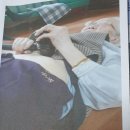 황제쑥뜸기 이미지