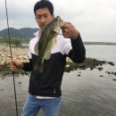 대산라인 이미지