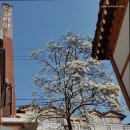 삼청동 코리아 게스트하우스