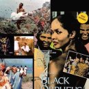 카니발의 아침 이미지