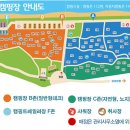 솔향기캠핑장 이미지