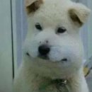 미사바른치과의원 이미지