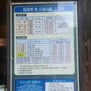춘천 집다리골 자연휴양림 잣나무 1호 추천 숲나들e 예약