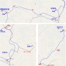 신호묘 이미지