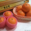현주네과일 - 중랑구 중랑역로 43 | 현주네과일