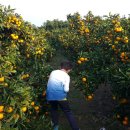 준석농장 이미지