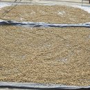 성이농장 이미지