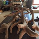 풍천사슴농장 이미지