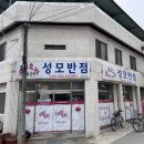 성모반점 이미지