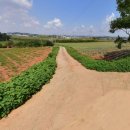 황토갯벌랜드3 이미지