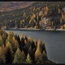 동백요양병원 이미지