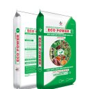 제일피드 이미지