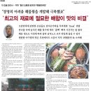 털보김홍재꽃게아구해물전문점 이미지